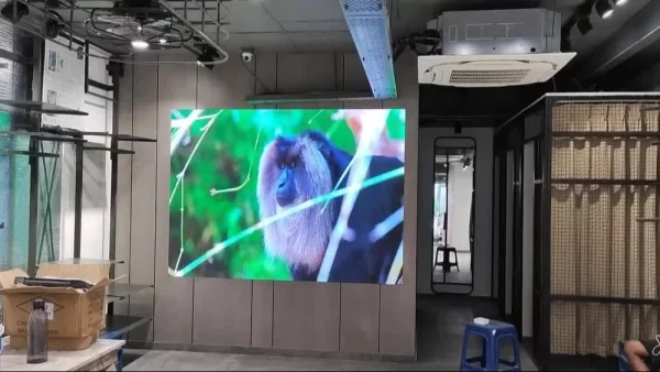 Video Wall Display - Image 3